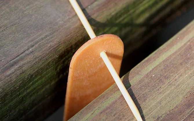 巢虫清木片的效果怎么样