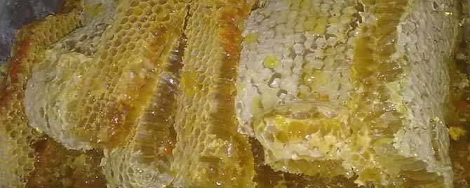 蜂巢蜜有假的吗