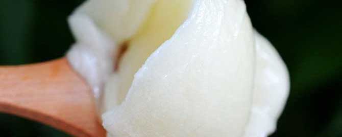 东北椴树蜜多少钱一斤