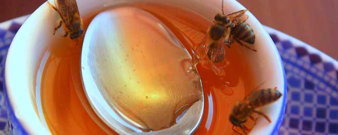 蜂蜜柠檬水怎么做不苦