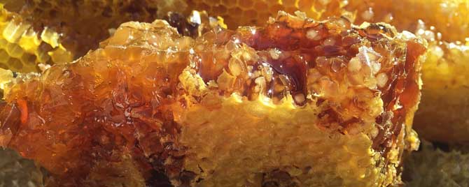 蜂蜜正常价格多少钱一斤