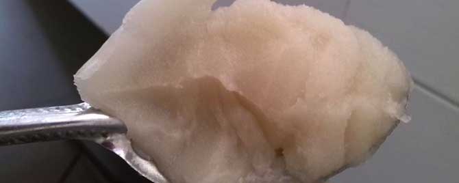 蜂蜜像白猪油是纯的吗