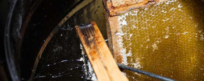 蜂蜜有没有保质期