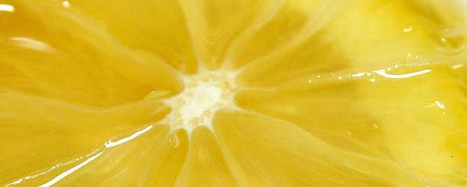 蜂蜜腌柠檬可以放多久