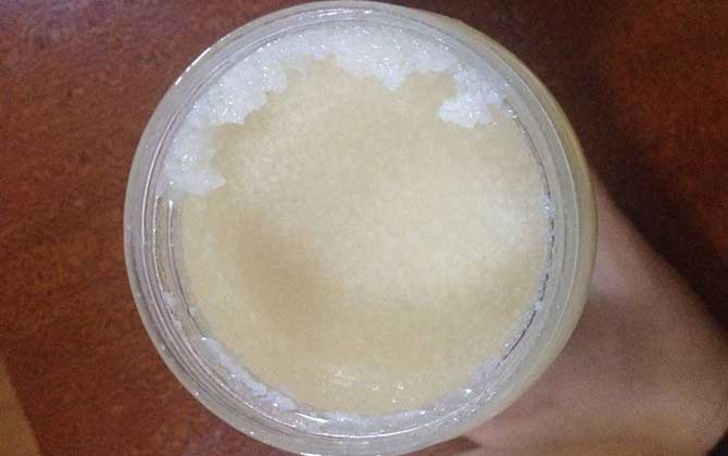 苕子蜜(雪脂莲蜜)是凉性的吗