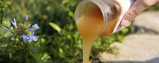 荆条蜜和枣花蜜哪个好