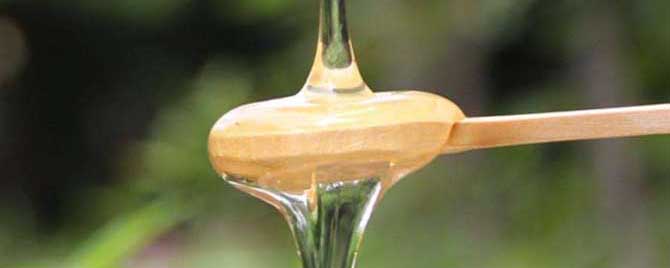 槐花蜜和枣花蜜哪个贵