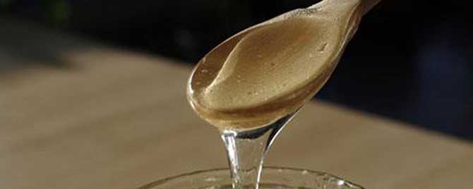 槐花蜜与荆条蜜哪个贵