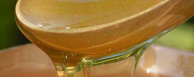 槐花蜜结晶是什么颜色