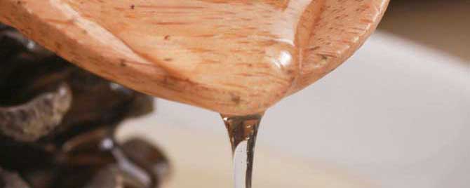 槐花蜜是热性还是凉性