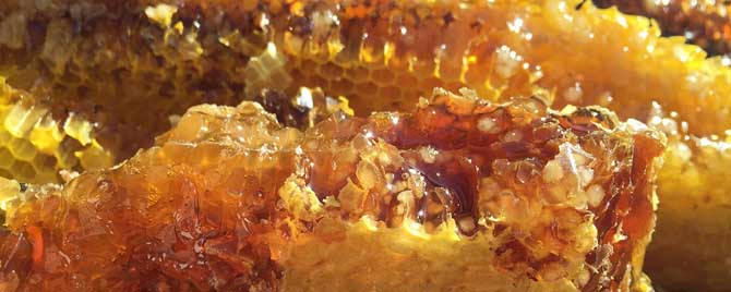 假蜂巢蜜什么样子的