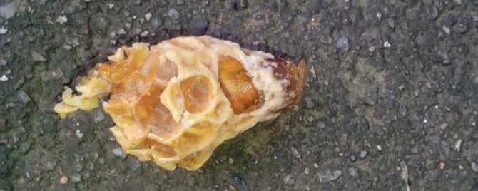 介王台要提前关王吗