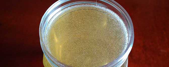 荆条蜜45元一斤贵吗