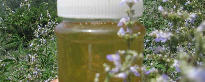 荆条蜜是什么花的蜜