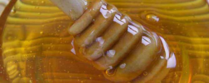 荆条蜜20元一斤是真的吗