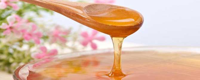 荆条蜜不结晶是假的吗