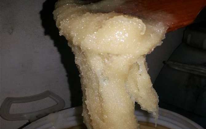 真假蜂蜜结晶有什么区别