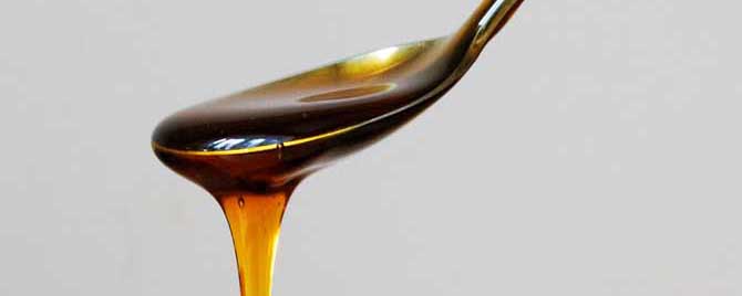 龙眼蜜价格多少钱一斤