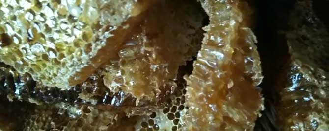 百花蜜多少钱一斤