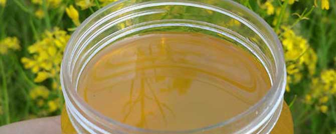 油菜花蜂蜜会结晶吗