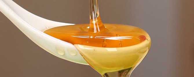 紫云英蜂蜜是凉性还是热性