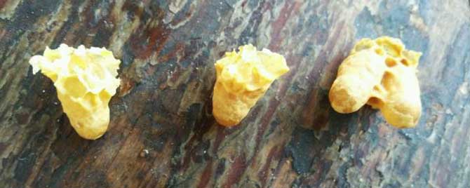 什么时候介王台最好