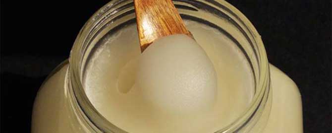 野桂花蜜价格多少钱一斤