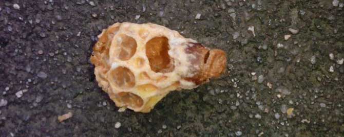 为什么介王台比介王好