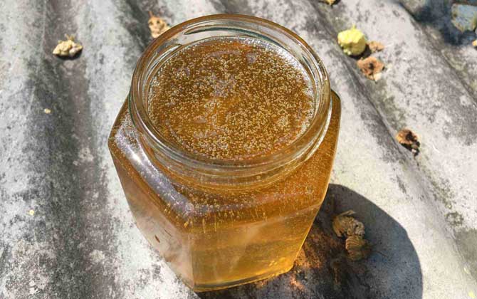 柑橘蜜和油菜蜜哪个好