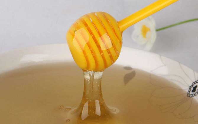 油菜蜜和枣花蜜哪个好