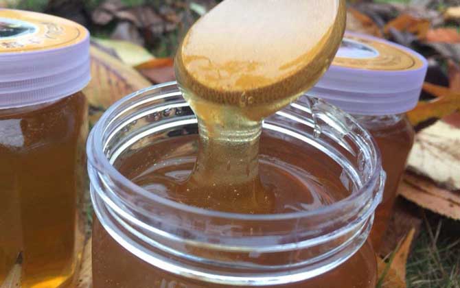 荆条蜜和槐花蜜哪个好