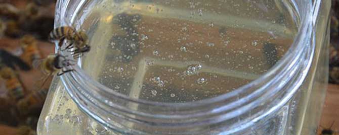 怎样辨别槐花蜜的真假