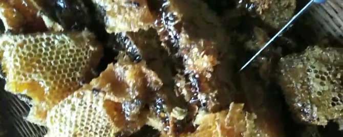 土蜂蜜的保质期是多久