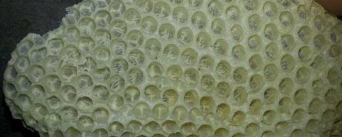 中蜂工产了怎样合并蜂群