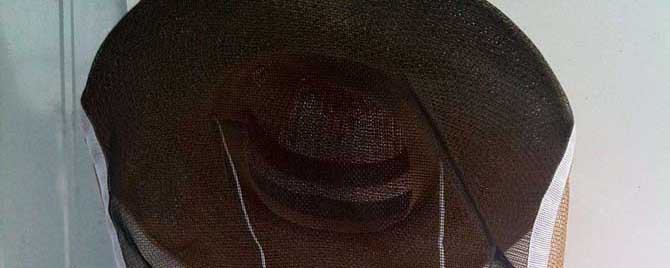 养蜂帽有什么作用