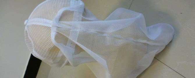 养蜂帽多少钱一个