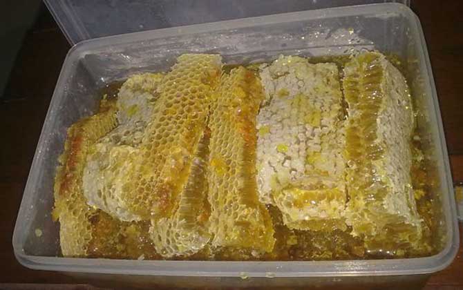 蜂巢蜜有人造的吗