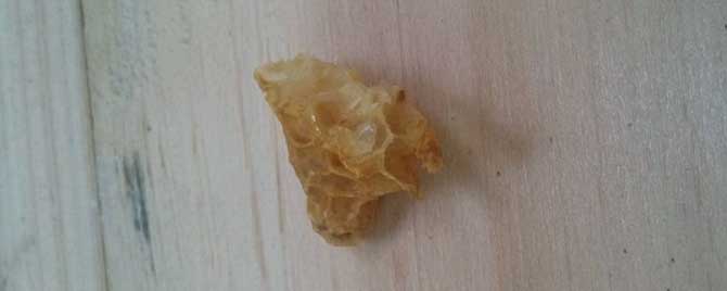 怎样给蜂群介入王台