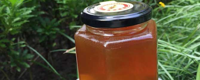 五倍子蜂蜜是什么蜜