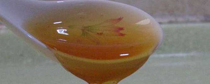 小茴香蜜是什么蜜