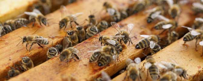 两个弱群怎么合并在一起