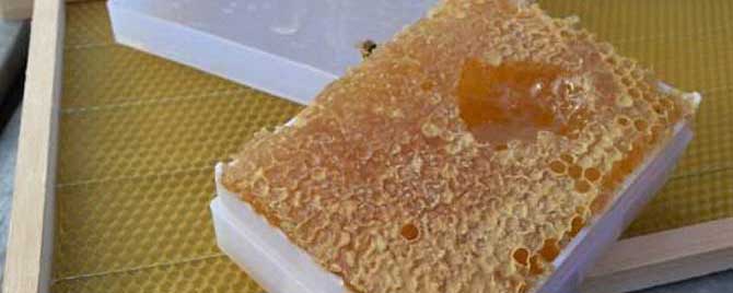 蜂巢蜜嚼后的渣渣能吃吗