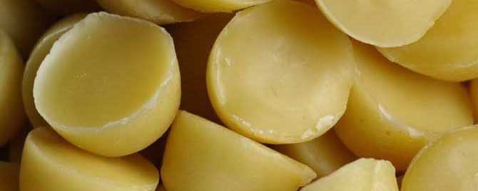 蜂蜡可以治疗哪些病