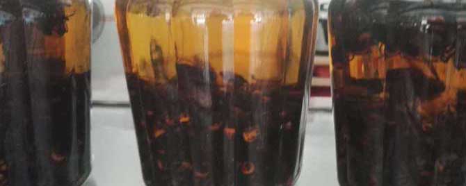 虎头蜂酒多少钱一斤