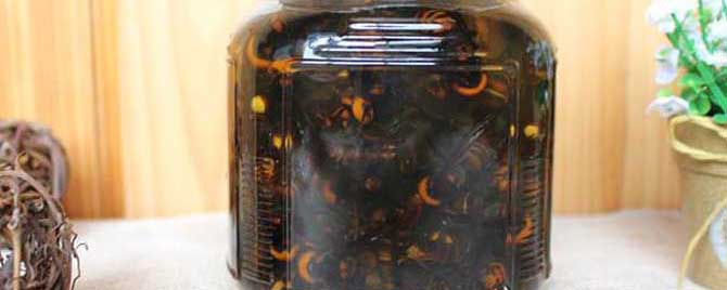 虎头蜂泡酒多久才能喝