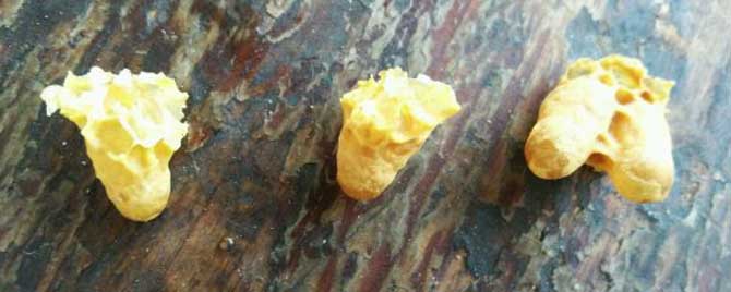 怎样解决分蜂热才有效