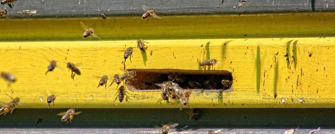 工产群怎样合并到有王群