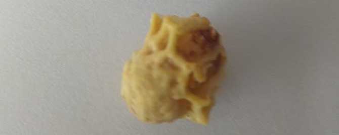 人工育王要把蜂王关起来吗