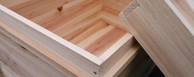 蜂箱价格40元一个是真的吗