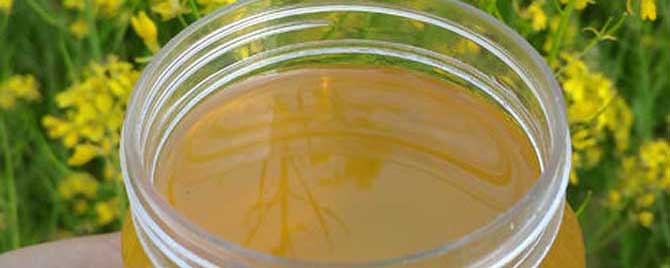 什么时候的油菜花蜂蜜最好